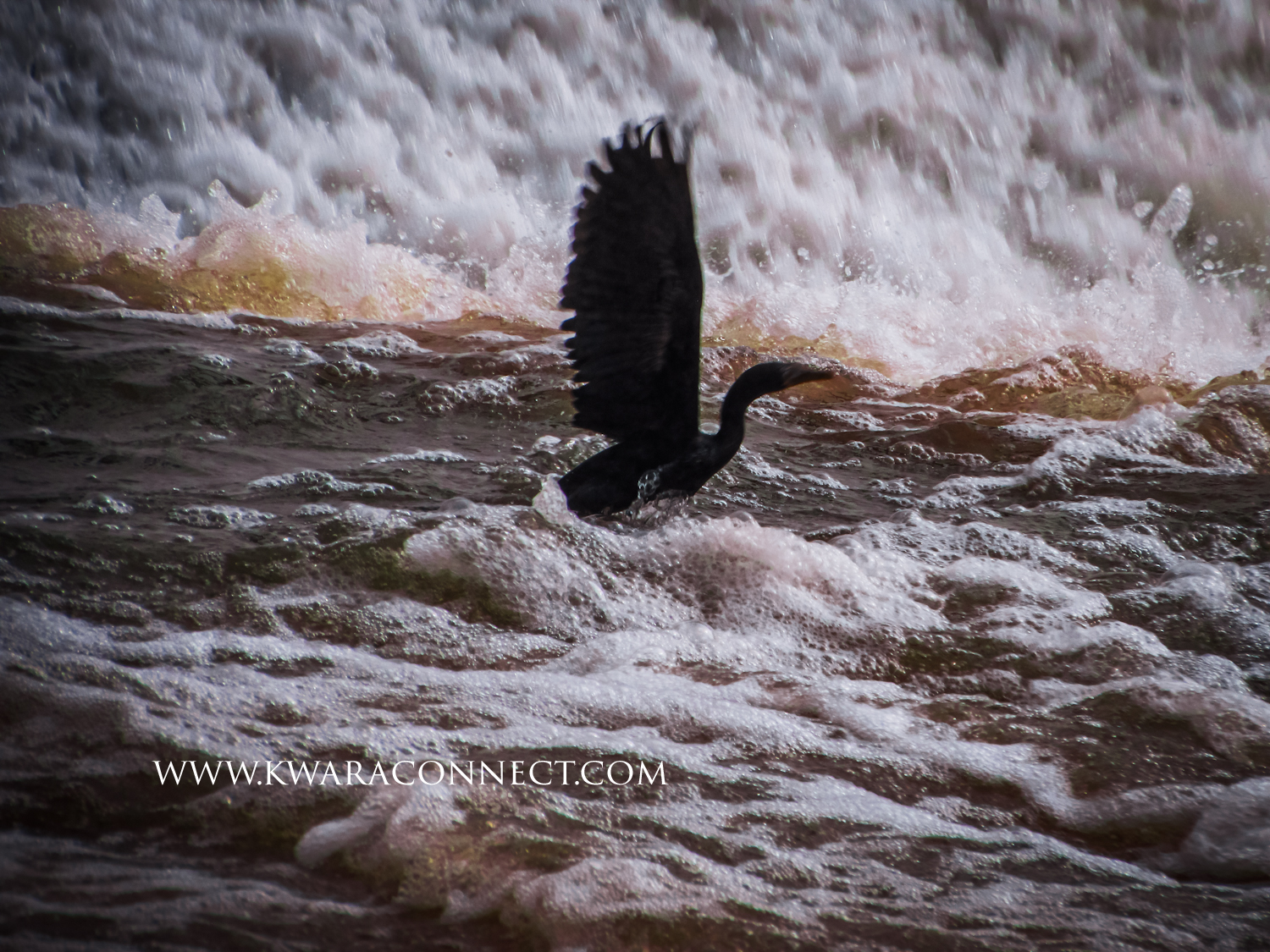 A Visit to Asa Dam, Kwara's Biggest, Tallest Dam, Ilorin, Kwara State Register, Find & Hire