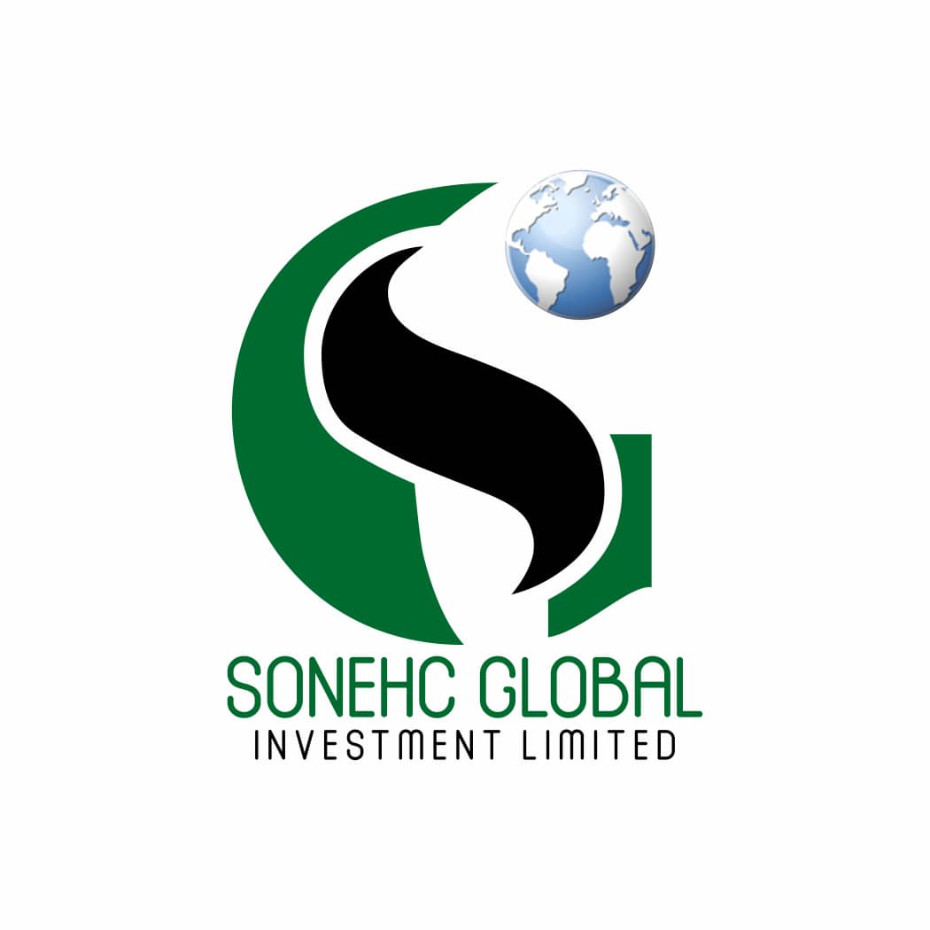 SONEHC GLOBAL INVESTMENT LIMITED